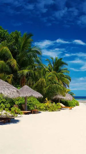 4K iPhone Nipa Umbrellas On Beach Shore