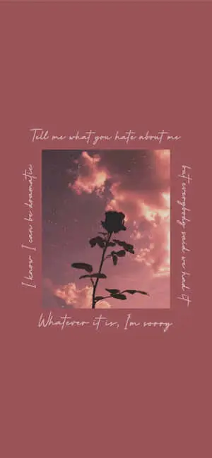 a rose with the words'whatever you want'