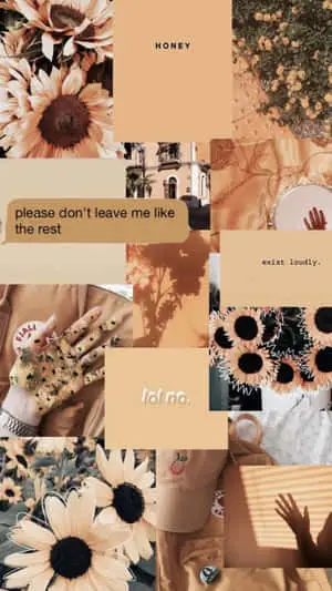 sunflowers, flowers, and other things are shown on a collage