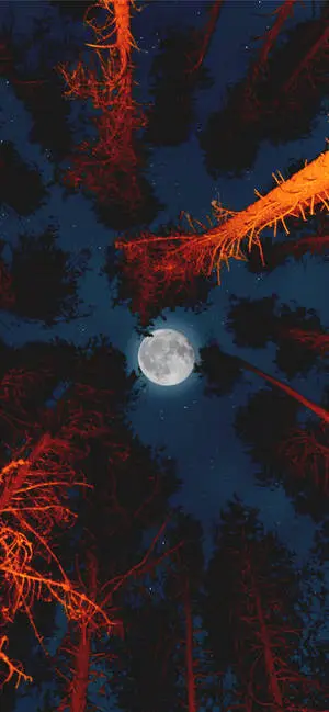 Full Moon Over the City - An Aesthetic iPhone X Wallpaper