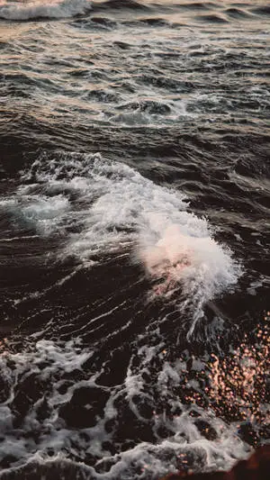 "The beauty of a calm sea"