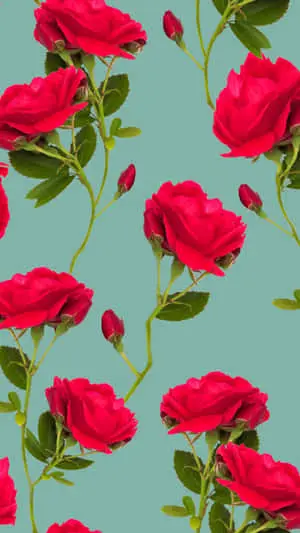 Red Roses Aesthetic VSCO Pattern Background