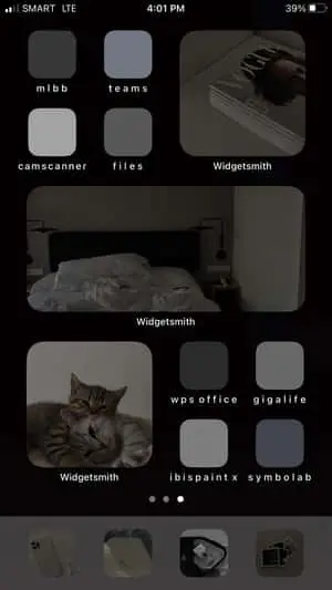 a screenshot of the home screen of an iphone