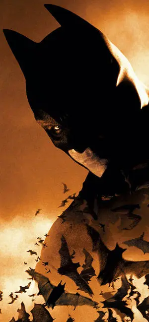 Batman Begins Sepia iPhone X