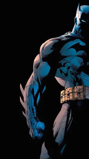 Batman Dark Knight Fanfiction iPhone X