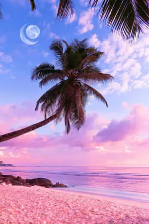 Pink Beach Aesthetic Picture