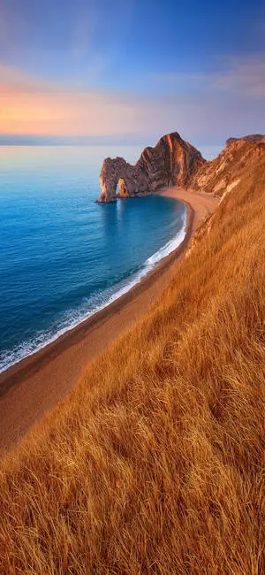 Beach Wave iPhone Curved Brown Shore