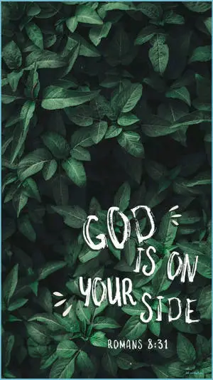 Bible Verse Aesthetic With White Text