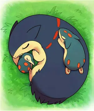 Big Typhlosion Sleeping