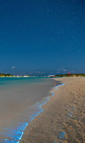 Bioluminescent Beach Wave iPhone