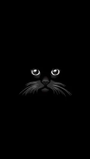 Feel the sleekness of Black Iphone in your hand