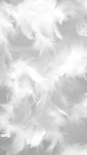 Cool Bright White Feathers Aesthetic