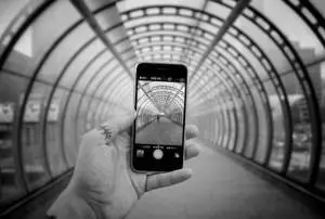  Caption: Sleek Silver iPhone Displayed against a Tranquil Floral Background 