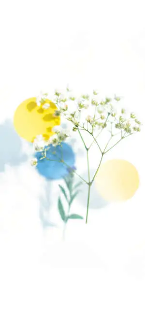 Flowers Cool Design Iphone