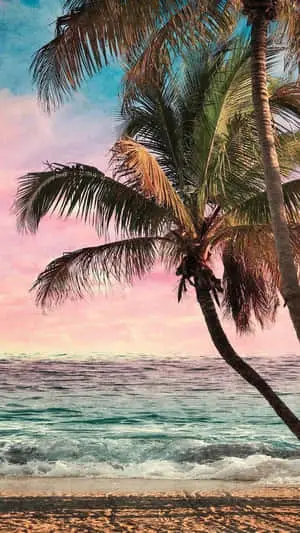 Capture the Relaxation of the Beach with your iPhone