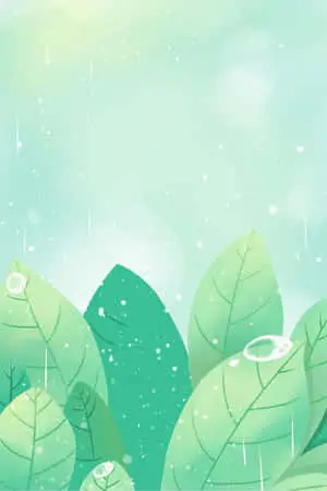 Adorable Green Plant with Heart-shaped Leaves