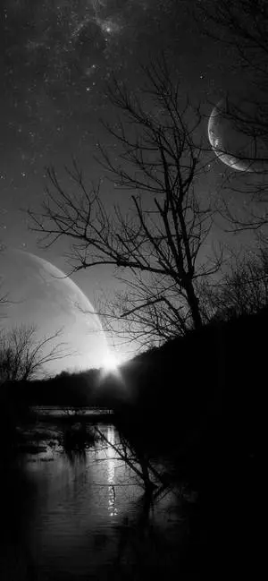 Dead Tree Under The Moon Solid Black iPhone