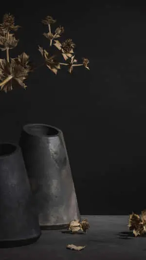Dried Flowers Design With Black Vases Background