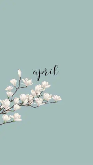 White Flowers Drawing Floral Aesthetic iPhone