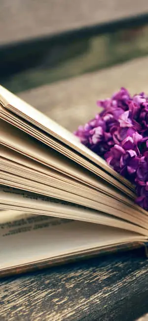 Enjoy the colors of nature with this stunning flower iPhone wallpaper