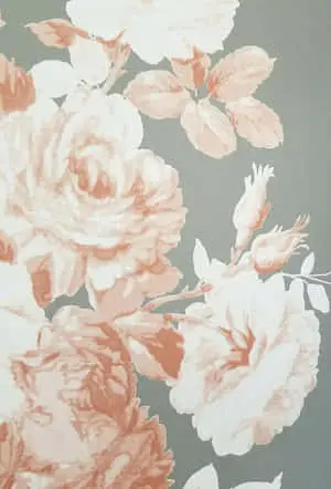 Brighten Your Day With a Beautiful Flower Iphone Wallpaper