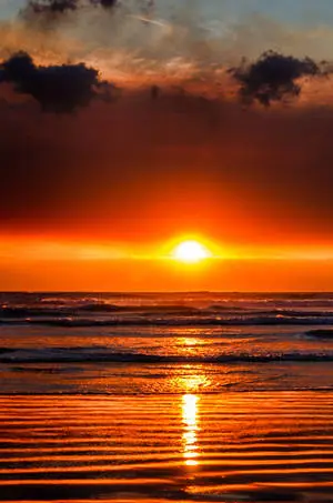Golden Sunset Beach Wave iPhone