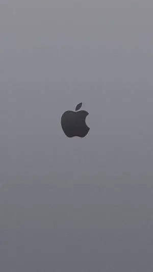 Grey iPhone Apple Logo