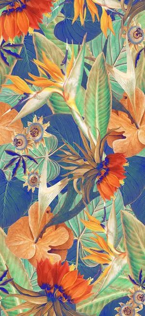 Heliconia Plant Art Iphone