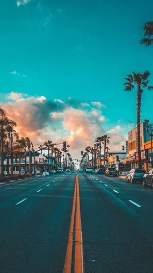 Iphone 11 Pro Max 4K Tropical Road