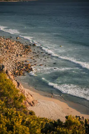 Iphone 11 Pro Max 4K Waves And Shore 