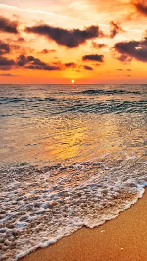 iPhone 7 Beach Orange Sunset