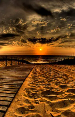 iPhone X Beach Plank Road