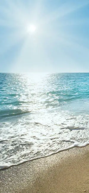 iPhone X Beach Sunny Vacation