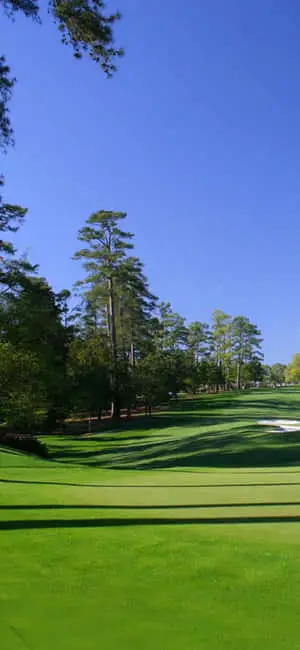 Experience the splendor of a golf course with the Iphone X 