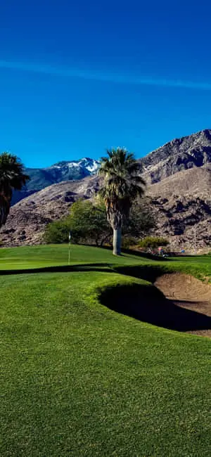A lush green golf course stretches out in front of an Iphone X.