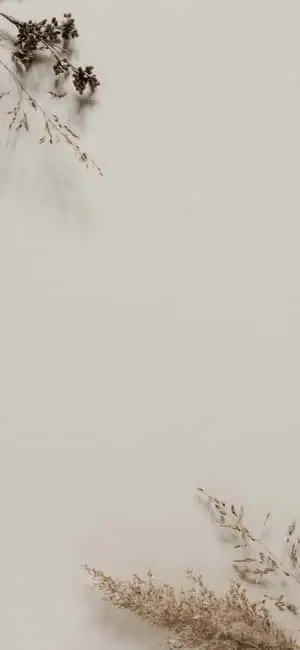 iPhone X Minimal Dried Leaves Background