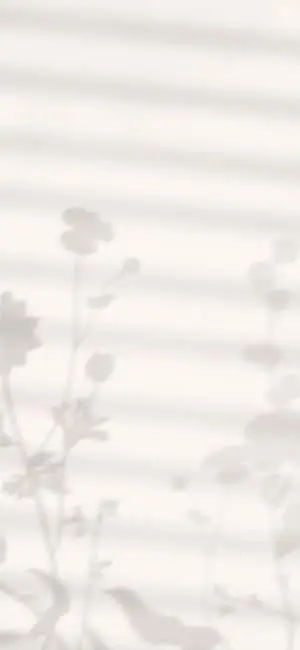iPhone X Minimal Background Of Flower Shadows