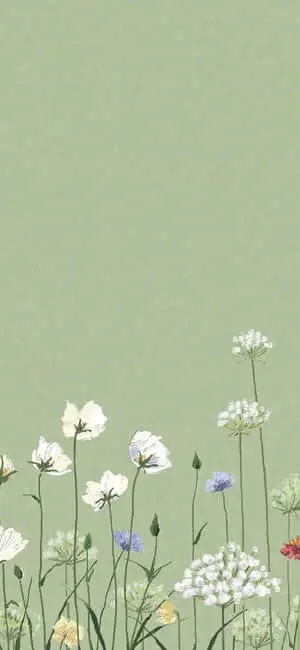 iPhone X Minimal Aesthetic Green Garden Background