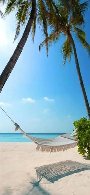 iPhone XS Beach Hammock Background