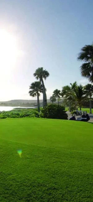 Sunny Day In Iphone Xs Golf Background