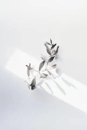 Leaves White Minimalist 