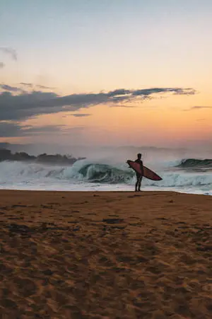 Lone Surfer Beach Wave iPhone