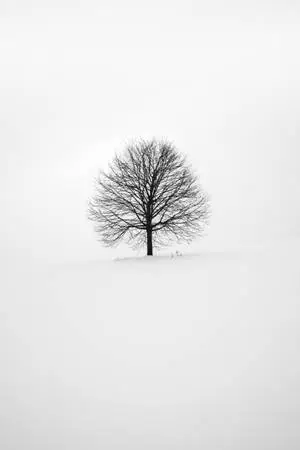 Minimal Winter Tree Cool IPad