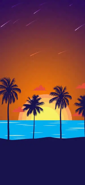 a sunset with palm trees and the ocean