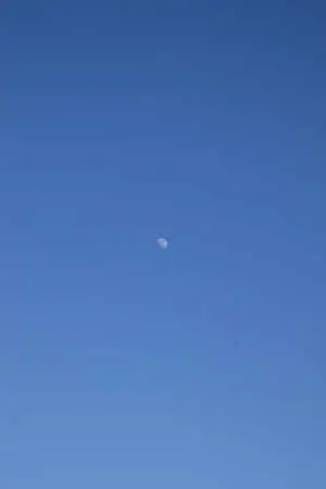 Stylish and Simple Minimalistic iPhone Wallpaper
