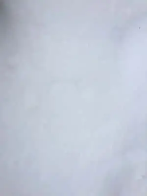 a person is standing in the snow with a ski pole