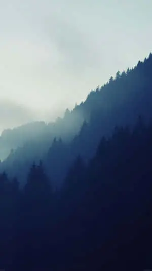 Forest Mountain Minimalist Iphone Picture
