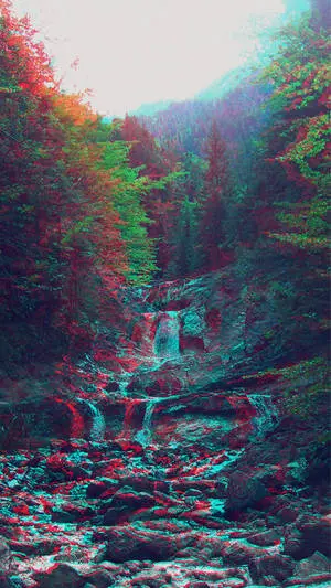 A tranquil forest stream amidst vibrant nature