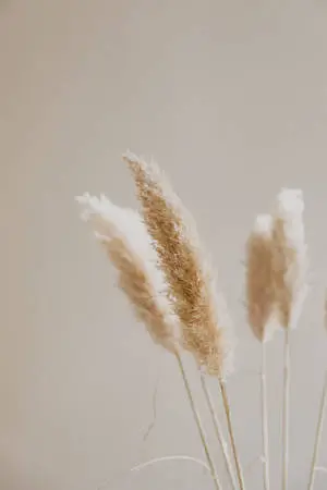 Neutral iPhone Grass Flower