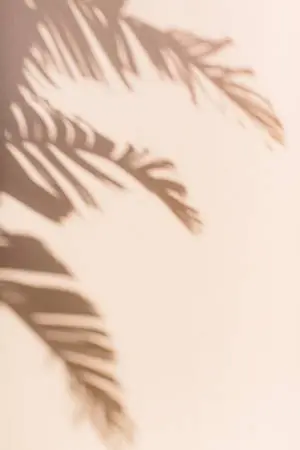 Neutral iPhone Leaf Shadow